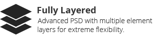 layered PSD files