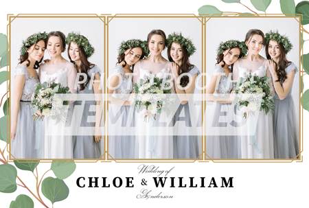 Eucalyptus Elegance 3-pose Postcard