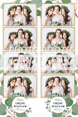 Eucalyptus Elegance 4-up Strips