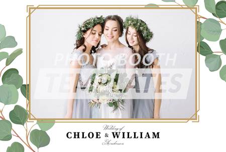 Eucalyptus Elegance Postcard