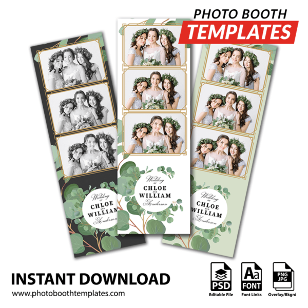 Eucalyptus Elegance 3-up Strips