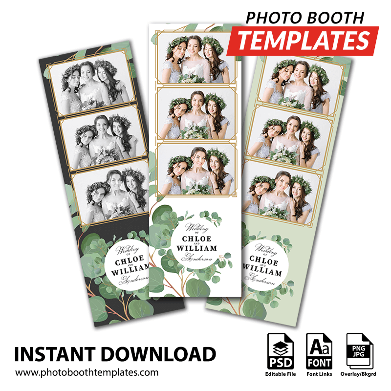 Eucalyptus Elegance 3-up Strips