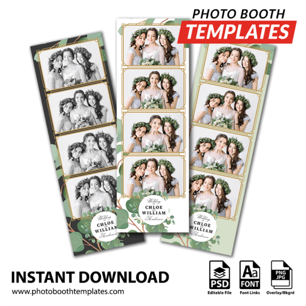 Eucalyptus Elegance 4-up Strips