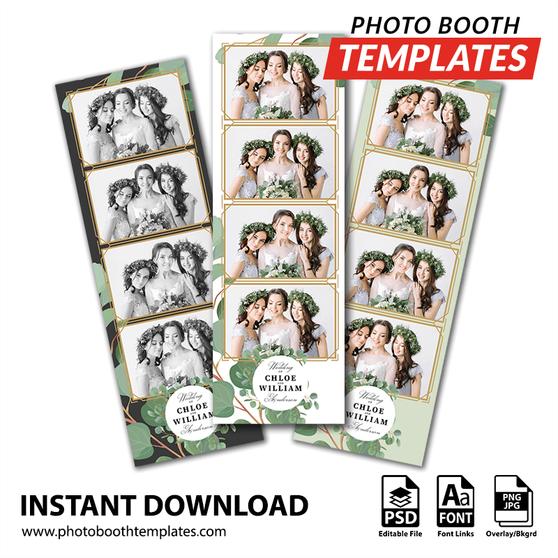 Eucalyptus Elegance 4-up Strips