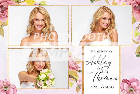 Botanical Cherry Blossom 3-pose Postcard 2 Botanical Cherry Blossom 3-pose Postcard