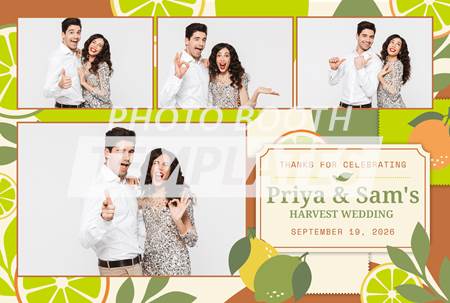 Citrus Harvest 4-pose Postcard 2 Citrus Harvest 4-pose Postcard